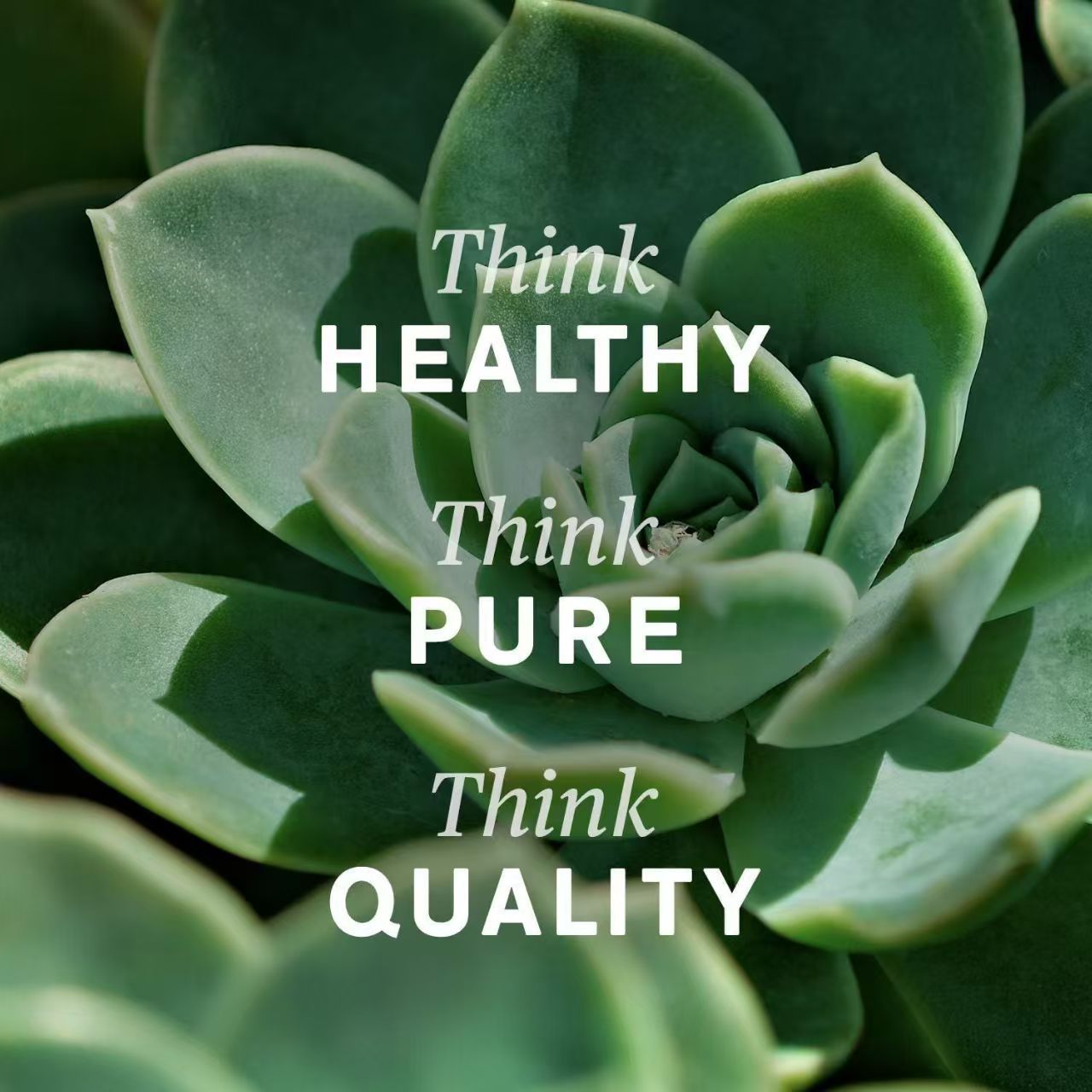 Nature's Sunshine Lymphatic Drainage Liquid Supplement