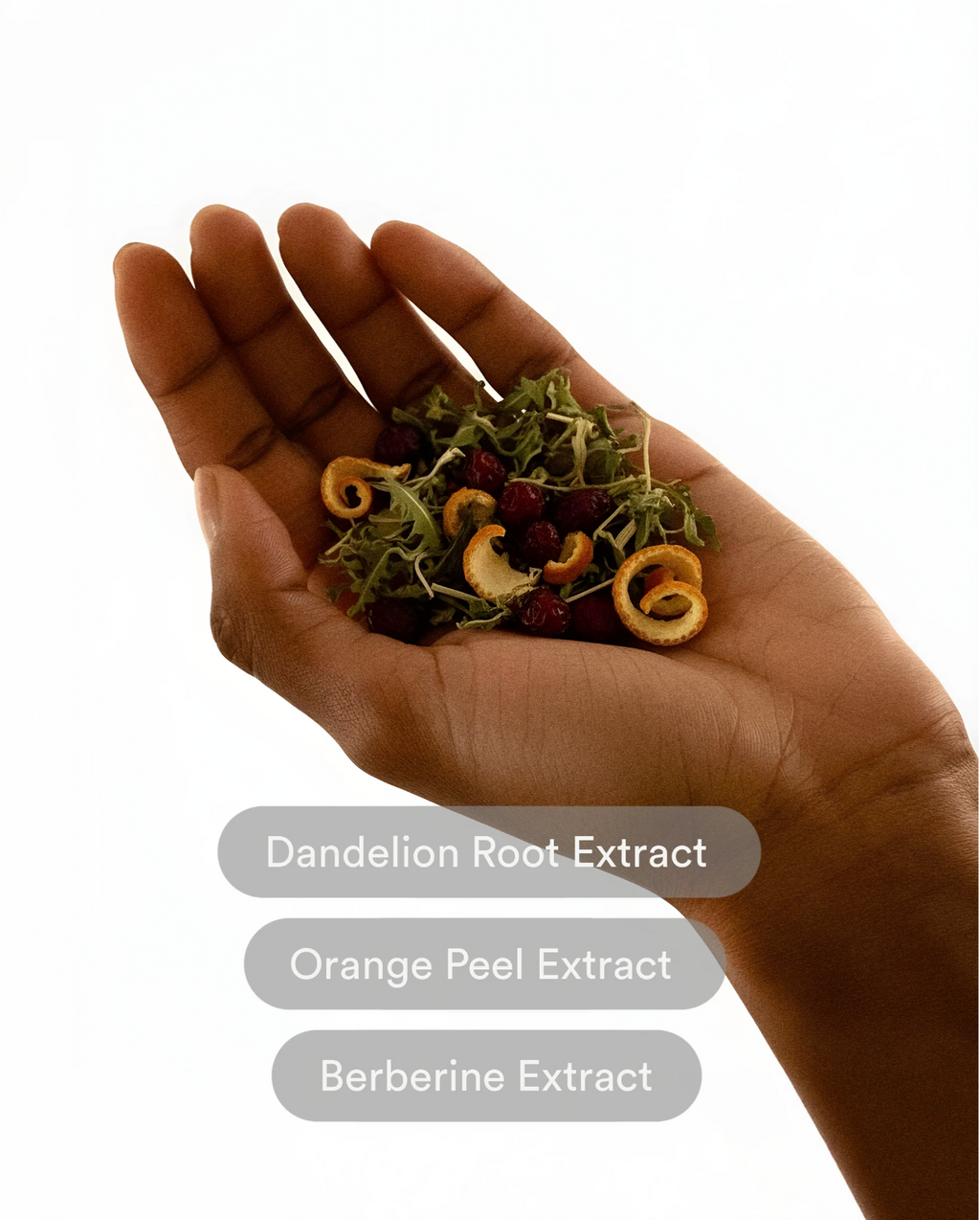 KindPatches Metabolic Reset